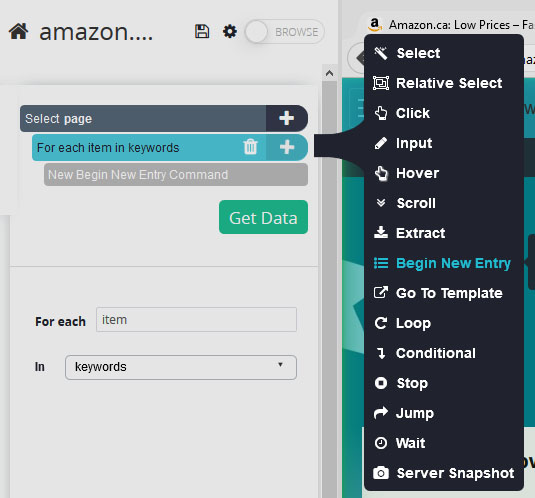 Selecting the "Begin New Entry" command